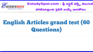 English Articles grand test (60 Questions)