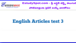 English Articles test 3